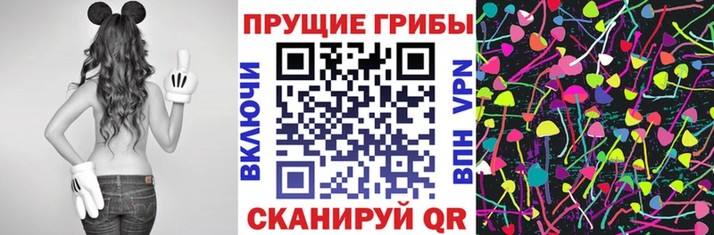 Псилоцибиновые грибы Psilocybe  Купить где  Тосно 